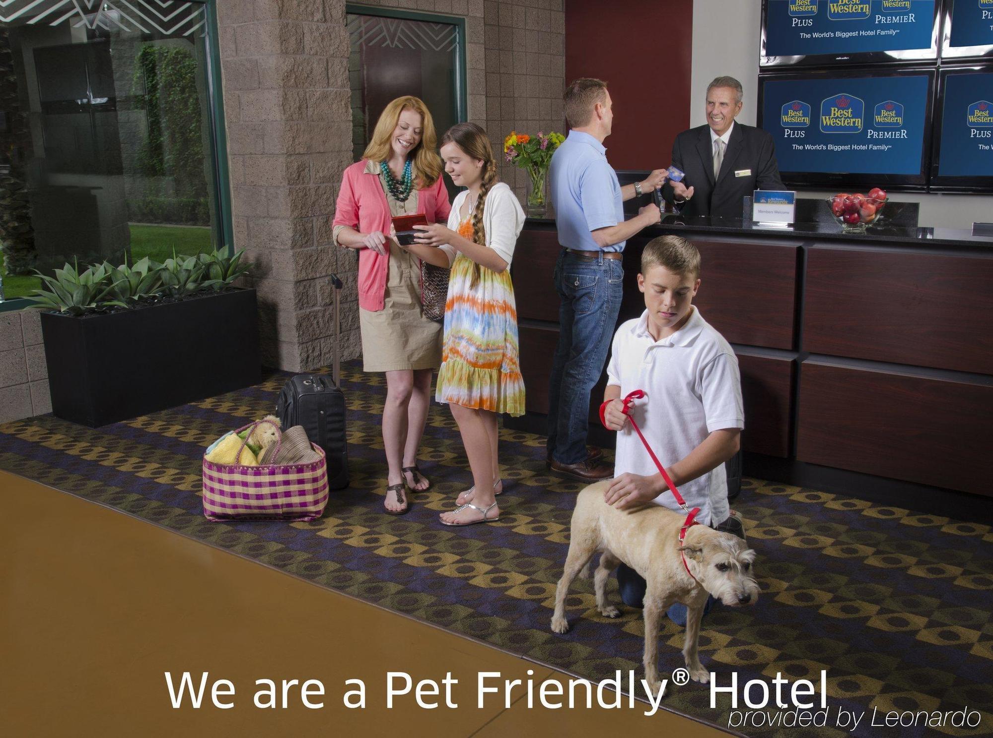 Best Western Plus Calgary Centre Inn Ngoại thất bức ảnh
